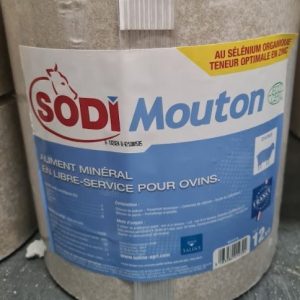 Blocs à lécher